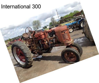 International 300