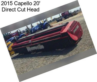 2015 Capello 20\' Direct Cut Head