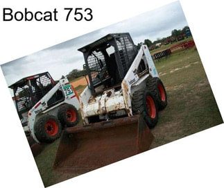 Bobcat 753