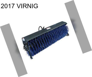 2017 VIRNIG