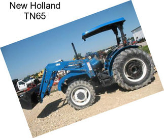 New Holland TN65