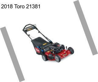 2018 Toro 21381