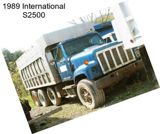 1989 International S2500