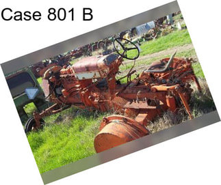 Case 801 B