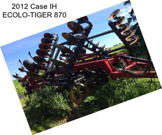 2012 Case IH ECOLO-TIGER 870