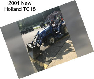 2001 New Holland TC18