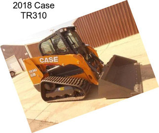 2018 Case TR310