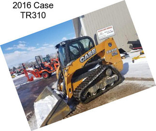 2016 Case TR310