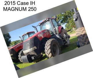 2015 Case IH MAGNUM 250