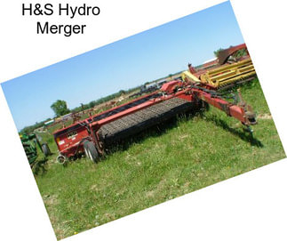 H&S Hydro Merger