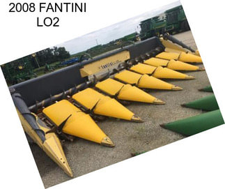 2008 FANTINI LO2