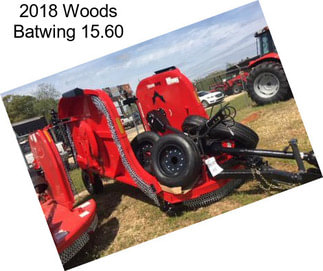 2018 Woods Batwing 15.60