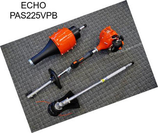 ECHO PAS225VPB