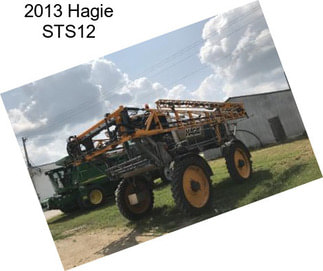 2013 Hagie STS12