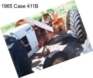 1965 Case 411B