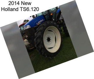 2014 New Holland TS6.120