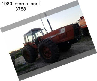 1980 International 3788