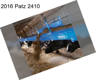 2016 Patz 2410