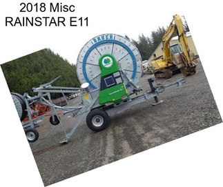 2018 Misc RAINSTAR E11