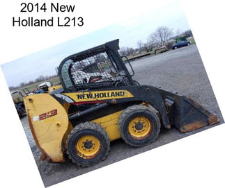 2014 New Holland L213