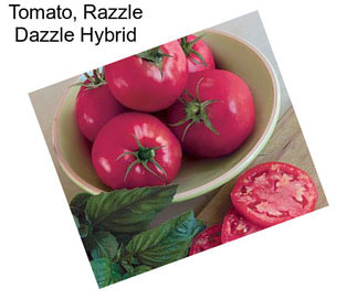 Tomato, Razzle Dazzle Hybrid