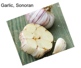 Garlic, Sonoran