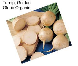 Turnip, Golden Globe Organic