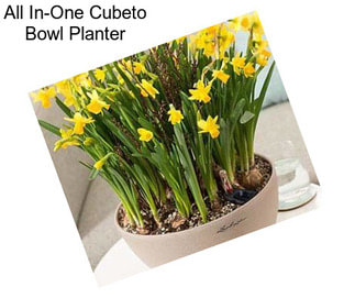 All In-One Cubeto Bowl Planter