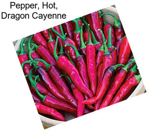 Pepper, Hot, Dragon Cayenne