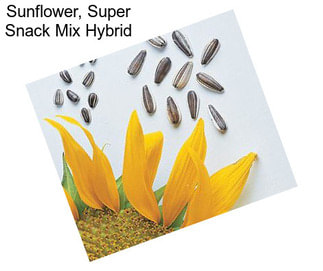 Sunflower, Super Snack Mix Hybrid