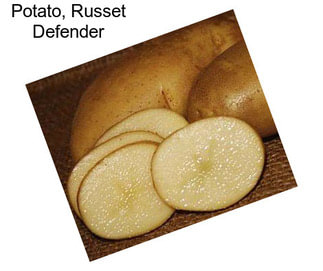 Potato, Russet Defender
