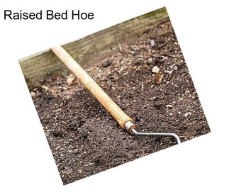 Raised Bed Hoe