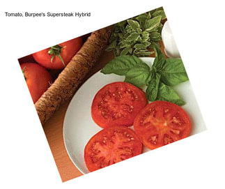 Tomato, Burpee\'s Supersteak Hybrid