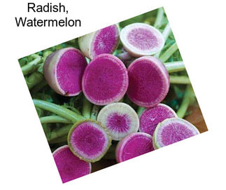 Radish, Watermelon