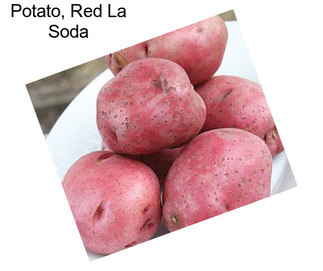 Potato, Red La Soda