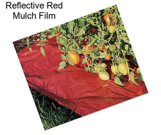 Reflective Red Mulch Film