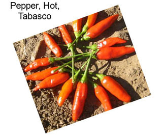 Pepper, Hot, Tabasco