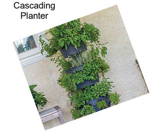 Cascading Planter