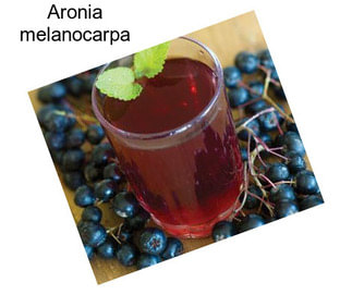 Aronia melanocarpa