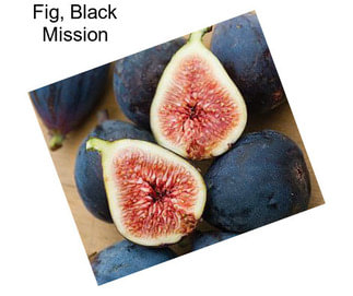 Fig, Black Mission