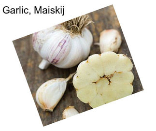 Garlic, Maiskij