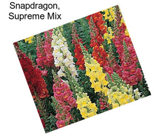 Snapdragon, Supreme Mix