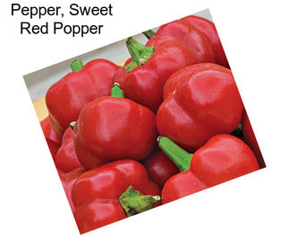 Pepper, Sweet Red Popper