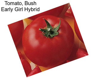 Tomato, Bush Early Girl Hybrid