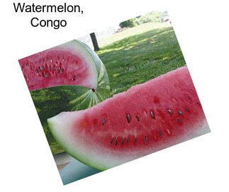 Watermelon, Congo