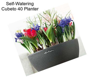 Self-Watering Cubeto 40 Planter