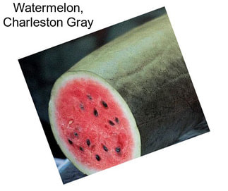 Watermelon, Charleston Gray