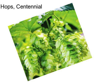 Hops, Centennial