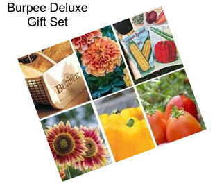 Burpee Deluxe Gift Set