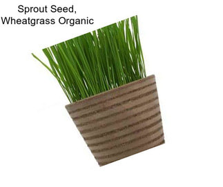 Sprout Seed, Wheatgrass Organic